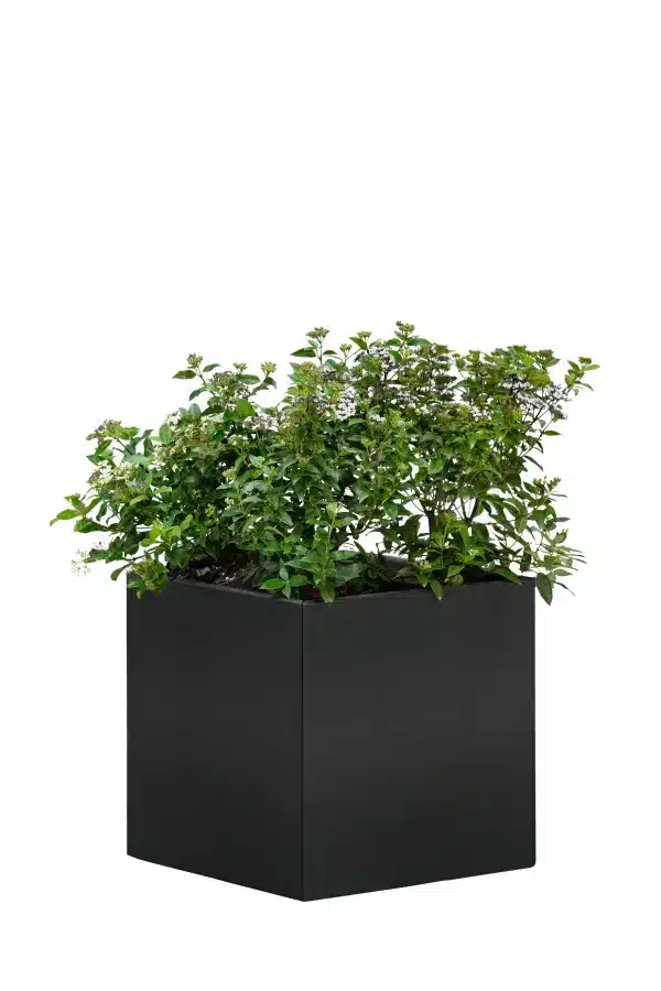 Bloembak Mohawk, zwart gepoedercoat staal 50 x 50 x 50 cm