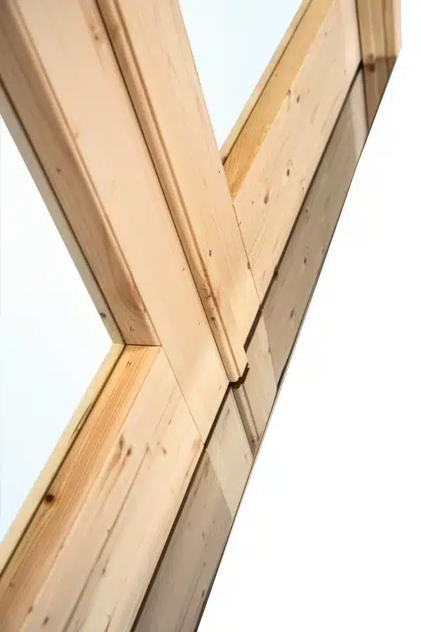 Dubbele deur+kozijn, vuren, enkel glas D3