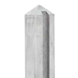 66901d5deb002 3458608745c31f7649d086b9fc1b839fb1364d62 p003625 c v01 0 202406